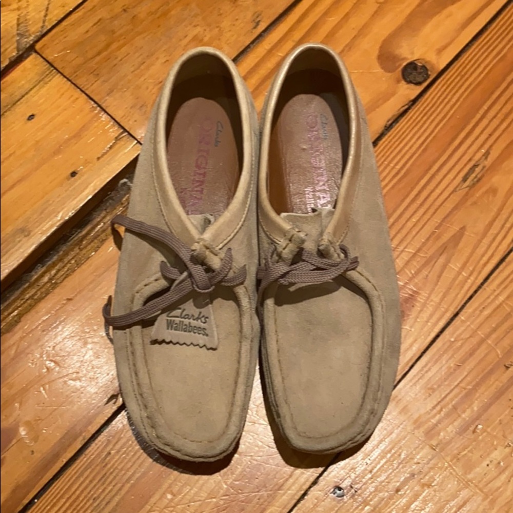 Clark wallabies